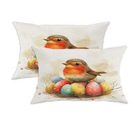 Spring Easter Robins Bird Pillow Covers 12x20 Set of 2, Comfy Cute Eggs Country Printing Velvet Pillow Cases Kit with Zipper, Animal Home Decor for Sofa Living Room Bed