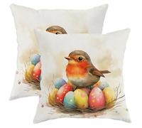 Spring Easter Robins Bird Pillow Covers 20x20 Set of 2, Comfy Cute Eggs Country Printing Velvet Pillow Cases Kit with Zipper, Animal Home Decor for Sofa Living Room Bed