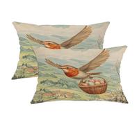 Spring Easter Robins Bird Throw Pillow Covers 12x20 Set of 2, Soft Country Basket Eggs Pillow Cases Kit with Zipper, Funny Velvet Home Decor for Couch Sofa Living Room Bed