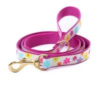 Spring Fever Lead 5 Largo (Width 1) Dog Lead