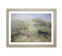 Spring Fruit Trees In Bloom By Claude Monet Classic Painting Framed Print | A2 Oak Framed Wall Art | Ready to Hang | Classic Floral Picture | Living Room Bedroom Lounge Office