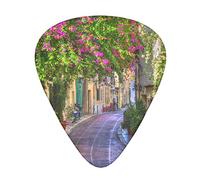 Spring Garden Guitar Picks 12 Pack Set Guitar Gift for Bass Picks Acoustic Guitars Plectrums with Clear Storage Box