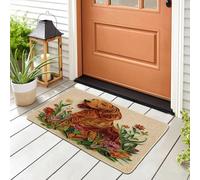 Spring Irish Setter Dog Front Black Door Mat Outside Inside Entrance 29 * 17, Fun Puppy Animal Floral Outdoor Indoor Washable Doormat, Small Pet Classroom Patio Garage Shoes Off Doormat