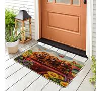 Spring Irish Setter Dog Front Black Door Mat Outside Inside Entrance 29 * 17, Fun Puppy Truck Sunflower Outdoor Indoor Washable Doormat, Small Pet Classroom Patio Garage Shoes Off Doormat