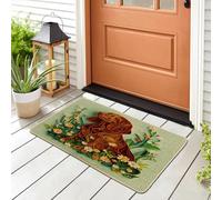 Spring Irish Setter Dog Front Black Door Mat Outside Inside Entrance 29 * 17, Funny Puppy Animal Floral Outdoor Indoor Non Slip Doormat, Small Pet Classroom Patio Garage Shoes Off Doormat