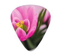 Spring Is In The Air Guitar Picks Set-Premium Abs Material,Various Thicknesses-Enhance Your Playing Experience