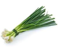Spring Onion (3 Bunch of 3)