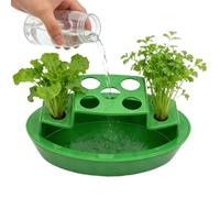 Spring Onion Grower - Hydroponic Root Holder, Countertop Farming System, Easy Care Seed Starter, Compact Food Gardening Tool For Balcony | Clear Propagation Vessel For Fresh Produce