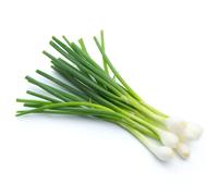 Spring Onions 1 Bunch x 20 Pack | Fresh & Crisp | Ideal for Salads, Stir-Fries, Garnishes & Catering | Ready to Use