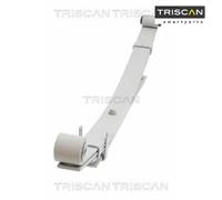 Spring Pack TRISCAN 8765 43004 For HYUNDAI