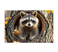 Spring Place Mats Set 30x45cm Raccoon in The Fall Tree Hole Decorative Summer Decor Placemats Rectangle Spring Table Mats for Party Home Kitchen Dining Table Decoration