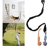 Spring Pole Dog Rope Toys Outdoor Dog Tug of War Toy for Pitbull Medium to Large Dogs Outdoor Bungee Hanging Exercise Ropes Muscle Builder Dogs Interactive Toys (Dog Rope Toys)
