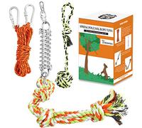 Spring Pole Dog Rope Toys: Dog Rope Pull & Tug of War Toy with a Big Spring Pole Kit & 2 Strong Dog Rope Toys & 16ft Rope - Muscle Builder Interactive Dog Toy for Pitbull Medium to Large Dog