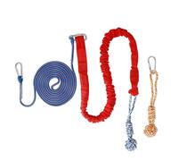 Spring Pole Dog Rope Toys | Dog Rope Toys Pull & Tug Chew Toys Bite Resistant Interactive Sturdy Spring Pole for Outdoor Camping Indoor Play Outdoor Terrace