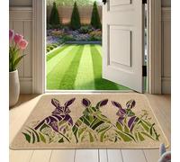 Spring Rabbit Doormat, Violet Hares Welcome Mat for Indoor & Outdoor Entrance Garden Decor, Non-Slip Waterproof Dust Absorbent, Easy to Clean 29x17 Inch