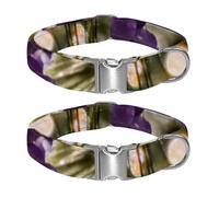 Spring’s Whispering Branches Adjustable Pet Collar for Small Medium Large Dogs & Cats, Reflective Strip for Night Safety, Soft Comfort Pad