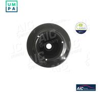 AIC 53444 Spring cap