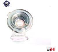 GH GH-362343 Spring Cap