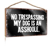 Spring Signs For Home Decor No Trespassing My Dog Is An Asshoole. Chill Wood Sign Camper Decor(20X30CM)