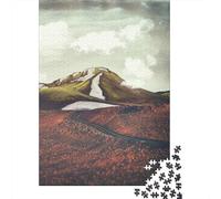 Spring Thaw 1000-Piece Adult Jigsaw Puzzle, 52x38cm/1000pcs, for Progress Whenever Time Allows; White Cardboard for Cleaner Sorting
