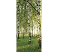 Springboard Early Years Imaginative Play Immersive Backdrop - Forest