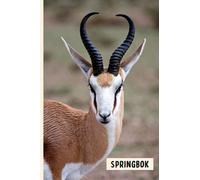 Springbok: Composition Notebook For Springbok Lovers , Springbok Lined Journal ,6x9 Inches , 110 Pages ,Springbok Diary