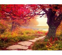 Springbok's Stone Path 1000 Piece Jigsaw Puzzle is A Mezmorizing Image for Puzzlers Looking for a Tranquil Escape