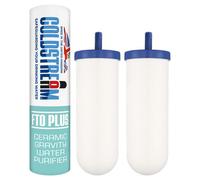 SpringClear Coldstream Ceramic Water Filters Fto Plus Fluoride Removal Gravity Filter (Cf163W) 2 Pack
