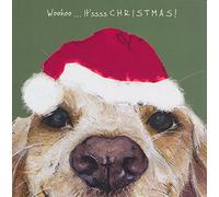 Springer Cocker Sprocker Spaniel dog in Santa hat Christmas card - It'ssss CHRISTMAS!