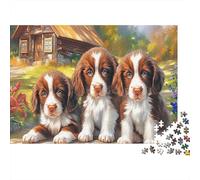 Springer Spaniel 1000 Piece Cardboard Jigsaw Puzzle Family Fun Educational Parent-Child Handsome Little Dog Puzzle Game for The Whole Family Puzzle Lovers 52x38cm/1000pcs