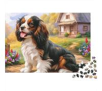 Springer Spaniel 1000 Piece Jigsaw Puzzle for Women, Men Sitting Spaniel Path Colourful Jigsaws Educational Games Great Gift 52x38cm/1000pcs