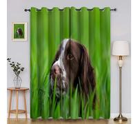 Springer Spaniel Blackout Curtains Grass Window Treatments, Eyelet Curtain, Thermal Insulated Super Soft Microfiber Curtains & Drapes 66x54 Inch 2 PanelsR3877