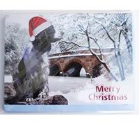 Springer Spaniel Christmas cards in a snowy scene pack of FIVE | adorable Springer on the front in a festive scene