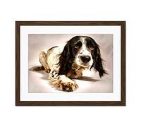 Springer Spaniel Cute Dog Large Art Print Poster Wall Decor 18x24 inch Supplied Ready To Hang With Included Mount Brackets
