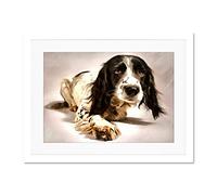 Springer Spaniel Cute Dog Large Art Print Poster Wall Decor 18x24 inch Supplied Ready To Hang With Included Mount Brackets