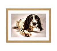 Springer Spaniel Cute Dog Large Art Print Poster Wall Decor 18x24 inch Supplied Ready To Hang With Included Mount Brackets
