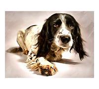 Springer Spaniel Cute Dog Large Wall Art Print