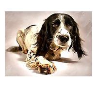 Springer Spaniel Cute Dog Wall Art Print