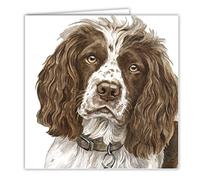 Springer Spaniel Dog Art Card/Greetings Card (AC-140)