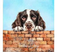 Springer Spaniel Dog Art Square Fathers Day Card - Dad Gift Father From Daughter Son Daddy Grandad Grandpa Animal Cute Illustrated Wildlife Premium Quality Blank Inside