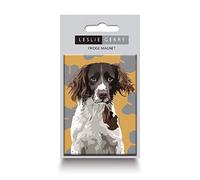 Springer Spaniel Fridge Magnet by Leslie Gerry