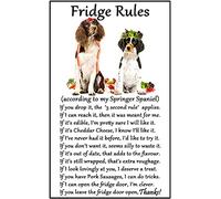 Springer Spaniel Gift - Fridge Rules - Large Fun flexible Fridge Magnet- size 16cms x 10 cms (approx. 6" x4")