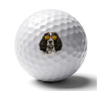 Springer Spaniel Golf Balls Rubber Practice for Training for Backyard Beginner