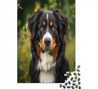 Springer Spaniel Jigsaw Puzzles for Adults 1000 Piece Jigsaw Puzzles for Adults,JigsawPuzzle 1000 Pieces for Adults Challenging Puzzle Games 1000pcs (75x50cm)