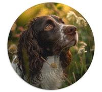 Springer Spaniel Jigsaw Puzzles Puzzle for Adults Kids. 1000 Piece Great Gifts Challenge Toy Educational Game Home Decoration for Educational Games Gifts 1000pcs (67.5x67.5cm)