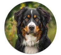 Springer Spaniel Jigsaw Puzzles Puzzles for Adults Kids. 1000 Pieces Whimsical Challenge Toy Educational Game Home Decoration for Educational Games Gifts 1000pcs (67.5x67.5cm)