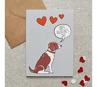 Springer Spaniel (Liver and White) Valentine's Day Card