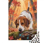 Springer Spaniel Puzzle 1000 Pieces Jigsaw Puzzles for Adult Colourful, Challenging & Brainteasing Challenging Game for Women 1000pcs (75x50cm)
