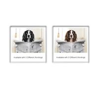 SPRINGER SPANIEL READING A NEWSPAPER ON THE LOO Novelty Acrylic Toilet Door Sign (2 DESIGNS & 3 WORDINGS AVAILABLE)