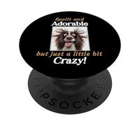 Springer Sprocker Spaniel funny brown and white pet dog PopSockets Adhesive PopGrip